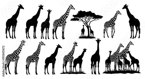 African Giraffe Silhouette Collection: Safari Wildlife Vector Art
