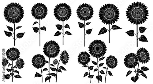 Black Silhouette Sunflower Collection: Various Stages and Arrangements