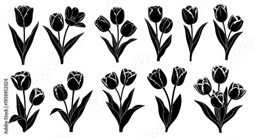 Black Silhouette Tulips Collection: Vector Graphics of Various Flower Arrangements