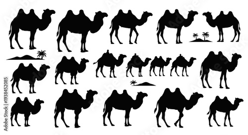 Camel Silhouettes Collection: Desert Animals, Travel, and Wildlife