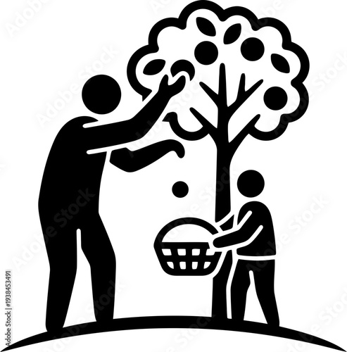 Man and child picking fruit from a tree into a basket. Harvest season. Simple black silhouette vector illustration for icon