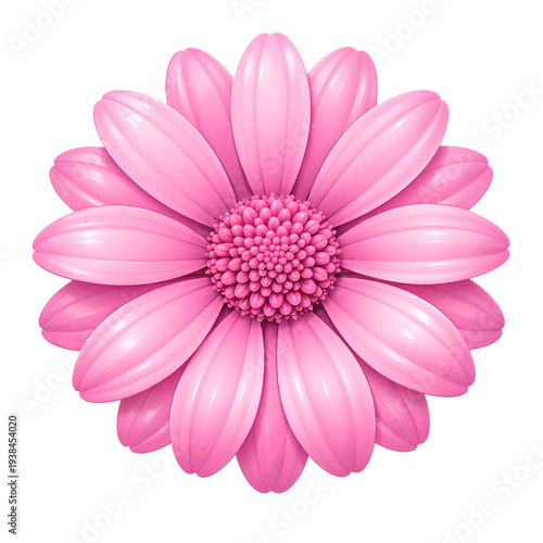A vibrant pink gerbera daisy flower in full bloom against a black background
