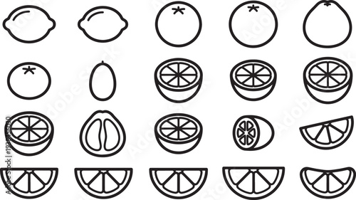 A collection of stylized citrus fruit with clean lines in a monochromatic display of graphic resources.