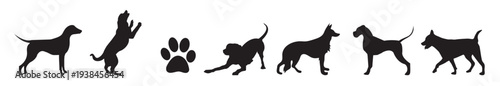 Animal silhouette of dog breed in different poses. labrador retriever dog breed black silhouette logo set. Pitbull, bulldog, terrier, dog animal silhouettes, vector illustration.