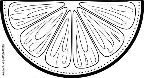 Black and White Line Citrus Fruit Slice Isolated White Background lemon lime