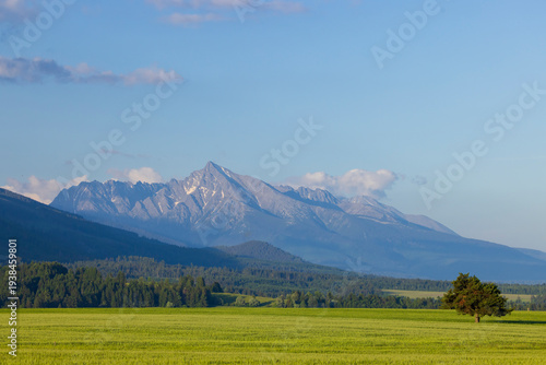 Foto Krivan peak towering over green field in High Tatras