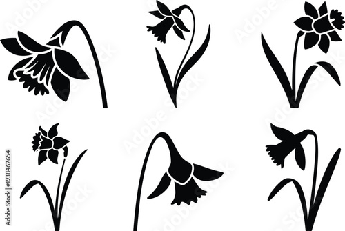 Set of Minimalist black daffodil flower with bell shape silhouette vector icon
