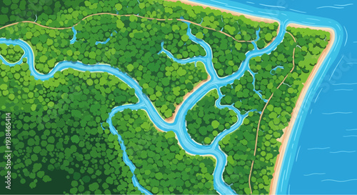 Aerial View of Lush Green Mangrove Forest with Winding Waterways and Sandy Beach