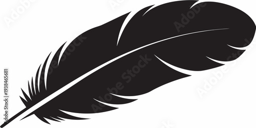 A single black feather lies diagonally against a white background