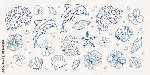 A delicate blue line drawing of marine life and tropical flowers