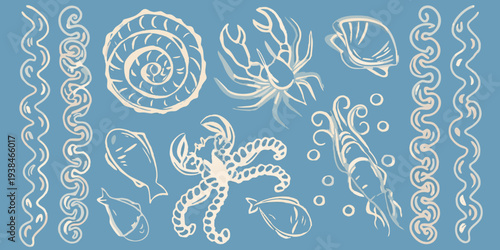 Stylized illustration of marine life including shells crustaceans and fish