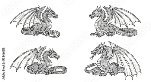 Set of four detailed black and white dragon illustrations, fantasy creatures, mythical beasts, ink drawings