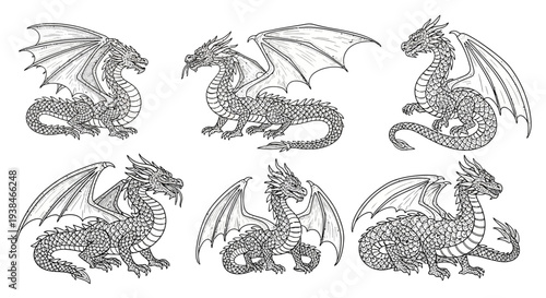 Set of six detailed black and white dragon illustrations, fantasy creatures, mythical beasts, graphic design elements