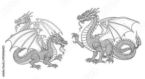 Two Detailed Dragon Illustrations, Mythical Creatures, Fantasy Art
