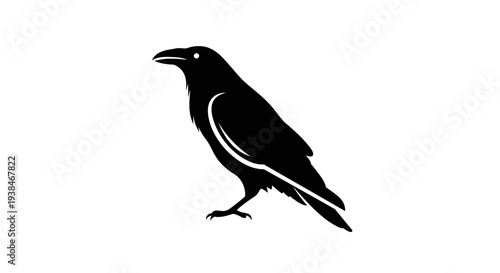 Black silhouette of a crow bird.