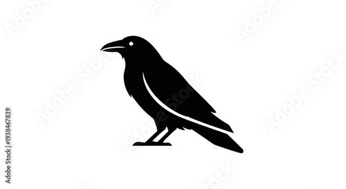 Black silhouette of a crow standing.