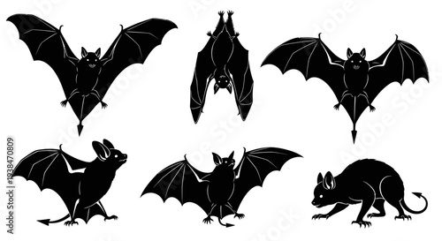 Bat Silhouettes Collection: Flying, Hanging, and Crawling Poses