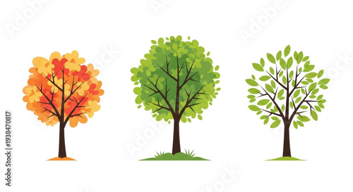 Three seasonal trees autumn spring summer growth nature illustration vector