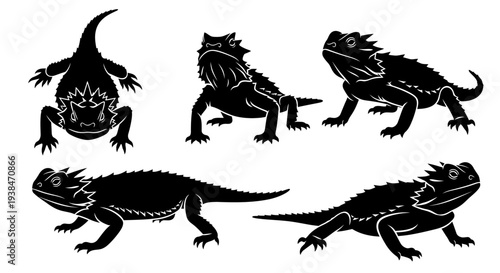 Bearded Dragon Silhouette Collection: Multiple Poses of Reptile Lizard