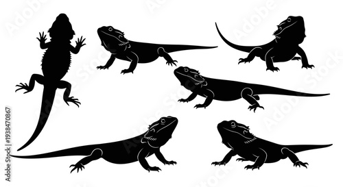 Bearded Dragon Silhouettes Collection: Multiple Poses of Reptile Icon