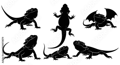 Bearded Dragon Silhouettes Collection: Various Poses and Angles