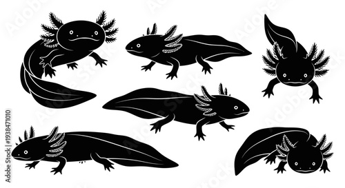 Black Axolotl Set Silhouette, Cute Amphibian Animal Collection, Vector Illustration