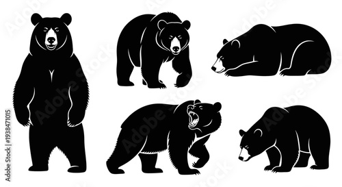 Black Bear Silhouettes Collection: Standing, Walking, Lying Down - Vector Graphics