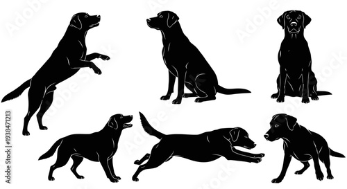 Black Labrador Dog Poses Silhouette Set: Playful, Sitting, Running, Jumping, Standing