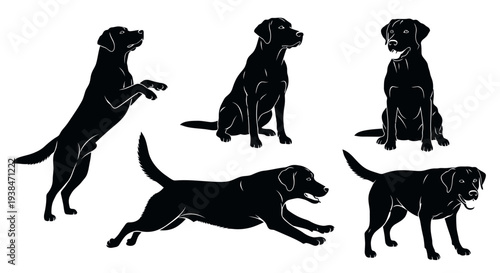 Black Labrador Dog Poses Silhouette Set: Jumping, Sitting, Running, Standing