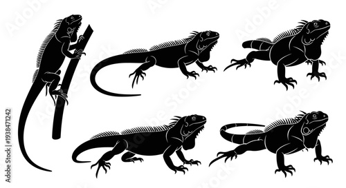Black Iguana Silhouettes Collection: Climbing, Walking, and Posing