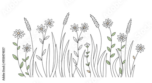 A collection of hand-drawn floral elements featuring various wildflowers and grasses in a minimalist style