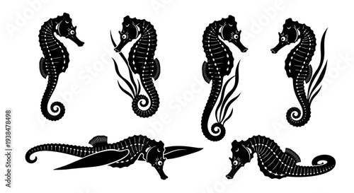 Black Silhouette Seahorse Collection: Various Poses and Underwater Elements