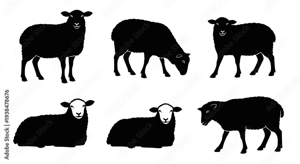 Fototapeta premium Black Sheep Silhouettes Collection: Standing, Grazing, Lying Down Poses