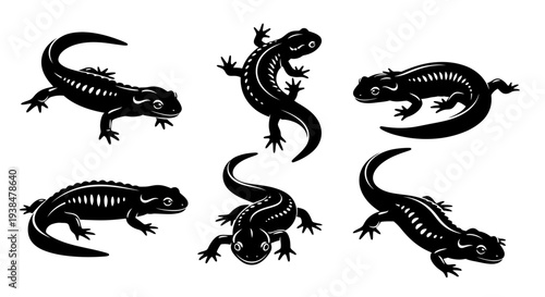 Black Salamander Silhouettes Set: Diverse Poses of Amphibians