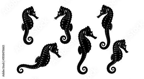 Black Seahorse Silhouettes Collection on White Background