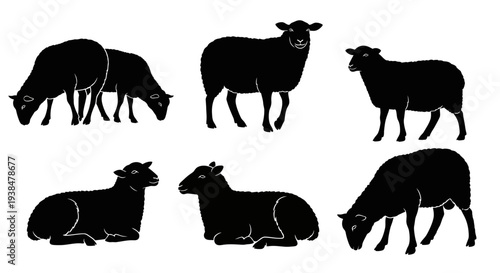 Black Sheep Silhouettes Collection: Standing and Lying Down Poses on White Background
