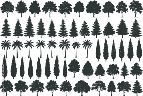 Collection of diverse tree silhouette illustrations featuring deciduous, coniferous, palm, and cypress forms in grid layout, perfect for landscape design, education, and graphic projects