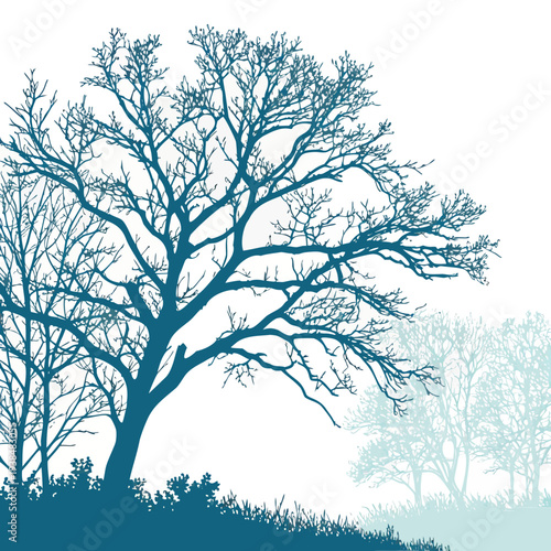 A majestic tree stands tall against a backdrop of soft, rolling hills and a clear sky. Vector