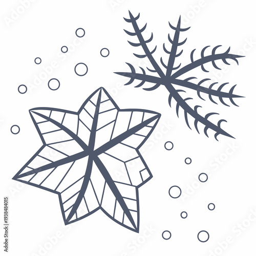 Two intricate snowflakes with delicate patterns and scattered snow dots around them Vector