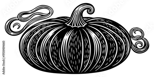 A black and white illustration of a pumpkin with decorative swirls