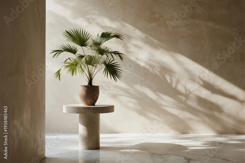 Potted plant on table in minimalist room