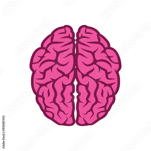 Human Brain anatomy in top view clipart
