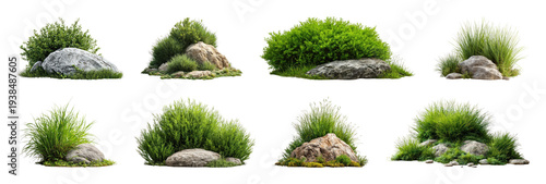 PNG Lush greenery with natural rocks on transparent background