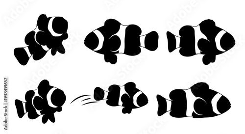 Clownfish Animation Sequence: Six Stages of Movement, Black and White Silhouette