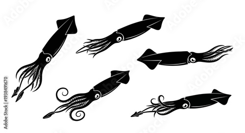 Black Squid Silhouettes Collection, Marine Life, Underwater Creatures