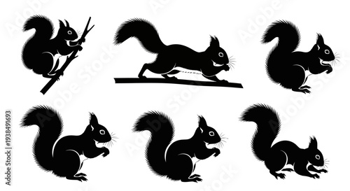 Black Squirrel Silhouettes Collection: Dynamic Poses of Rodents in Motion