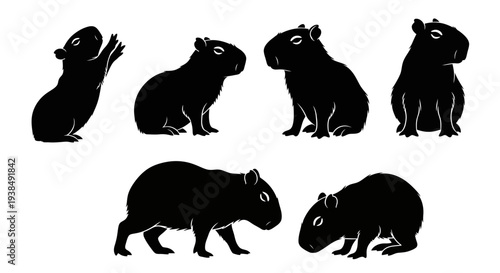 Capybara Silhouette Collection: Various Poses of Cute Rodent Animal Icon