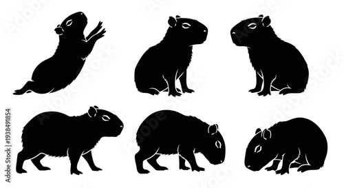 Capybara Silhouettes Collection: Various Poses of Adorable Rodents
