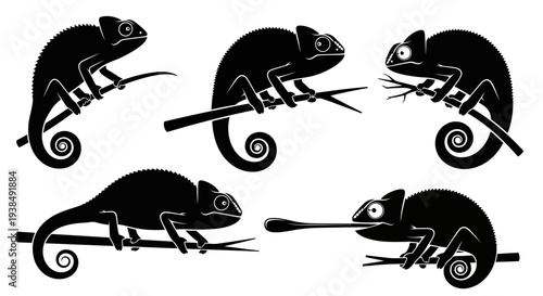 Chameleon Silhouettes on Branches, Set of 5 Black Vector Illustrations