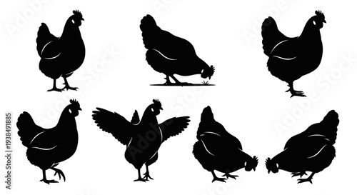 Chicken Silhouettes Collection: Various Poses of Farm Birds